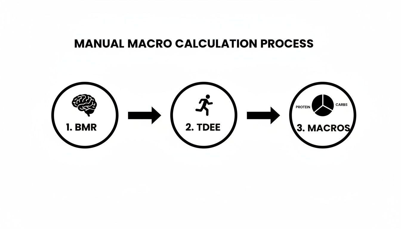 A step-by-step flowchart illustrating the manual macro calculation process, from BMR to TDEE and finally macros.