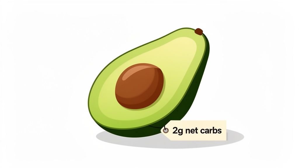 A detailed illustration of a half avocado with its pit, showing a label indicating '2g net carbs'.