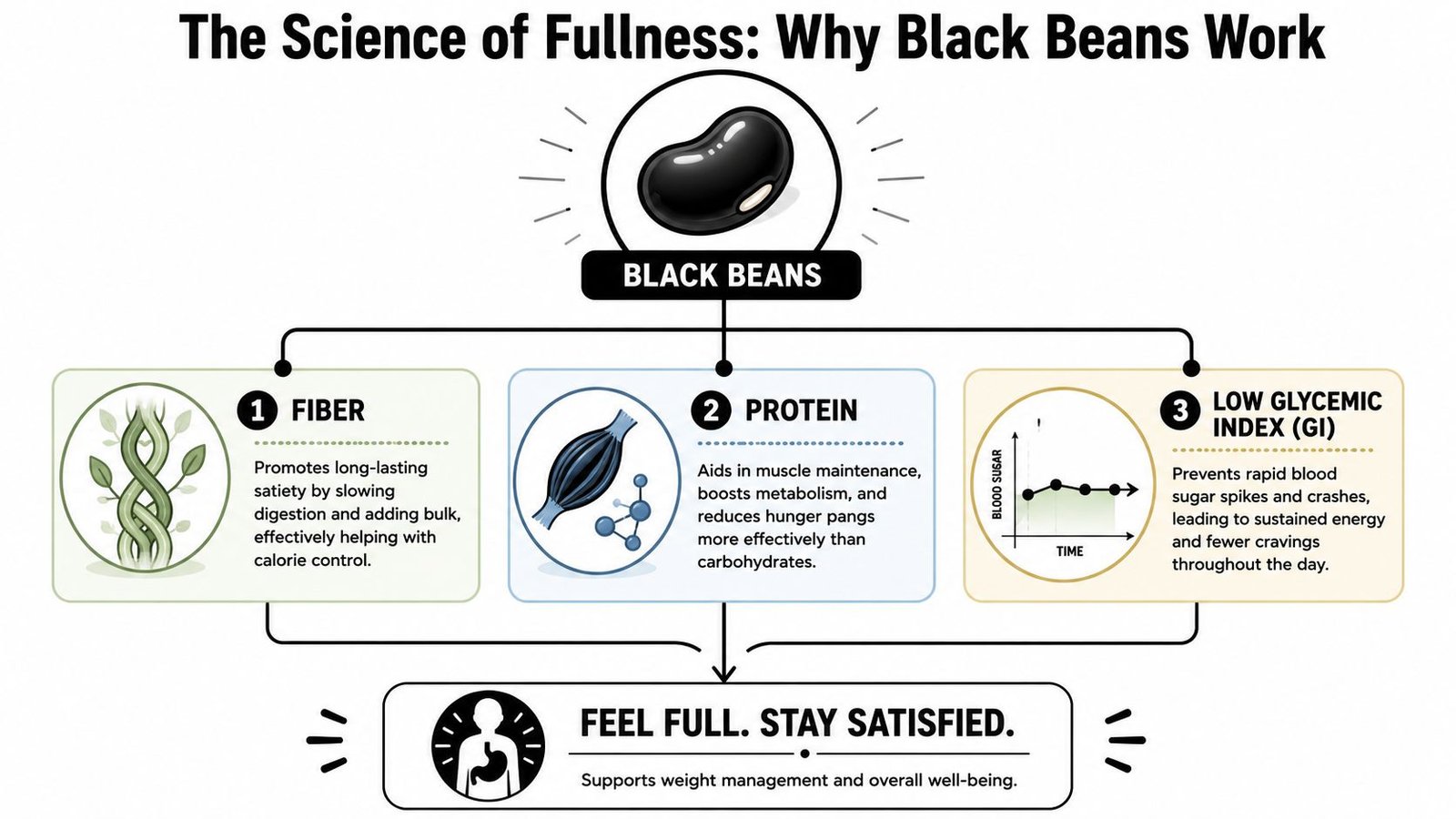 An infographic titled The Science of Fullness explaining how fiber, protein, and low glycemic index in black beans help weight loss.