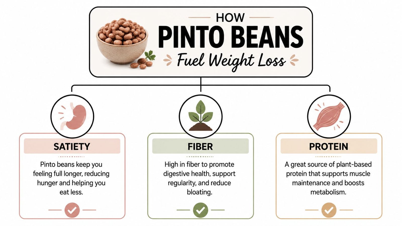 An infographic explaining how pinto beans support weight loss through satiety, fiber content, and plant-based protein.