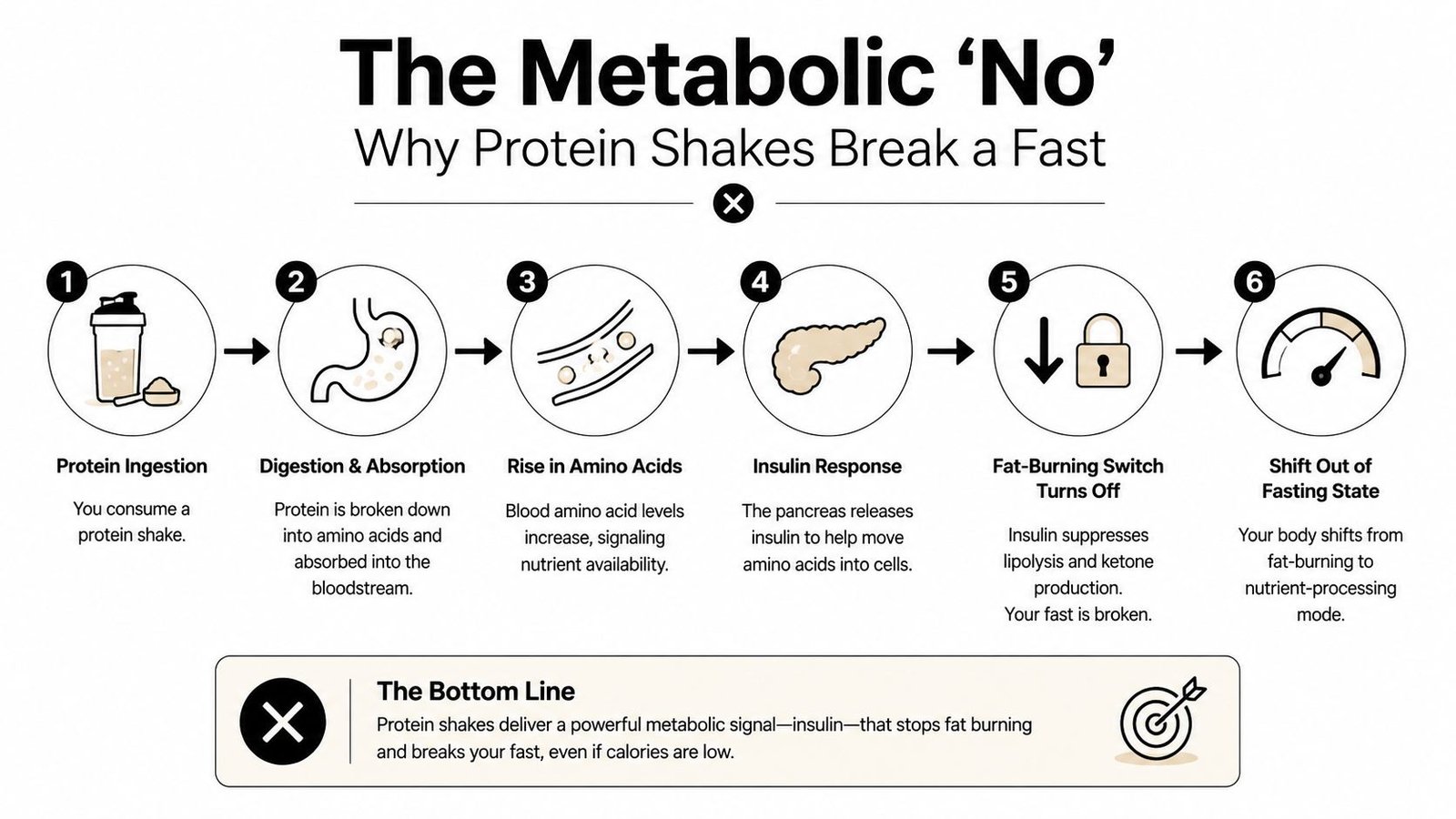 A flowchart explaining why protein shakes break a fast through metabolic processes like insulin response and lipolysis.