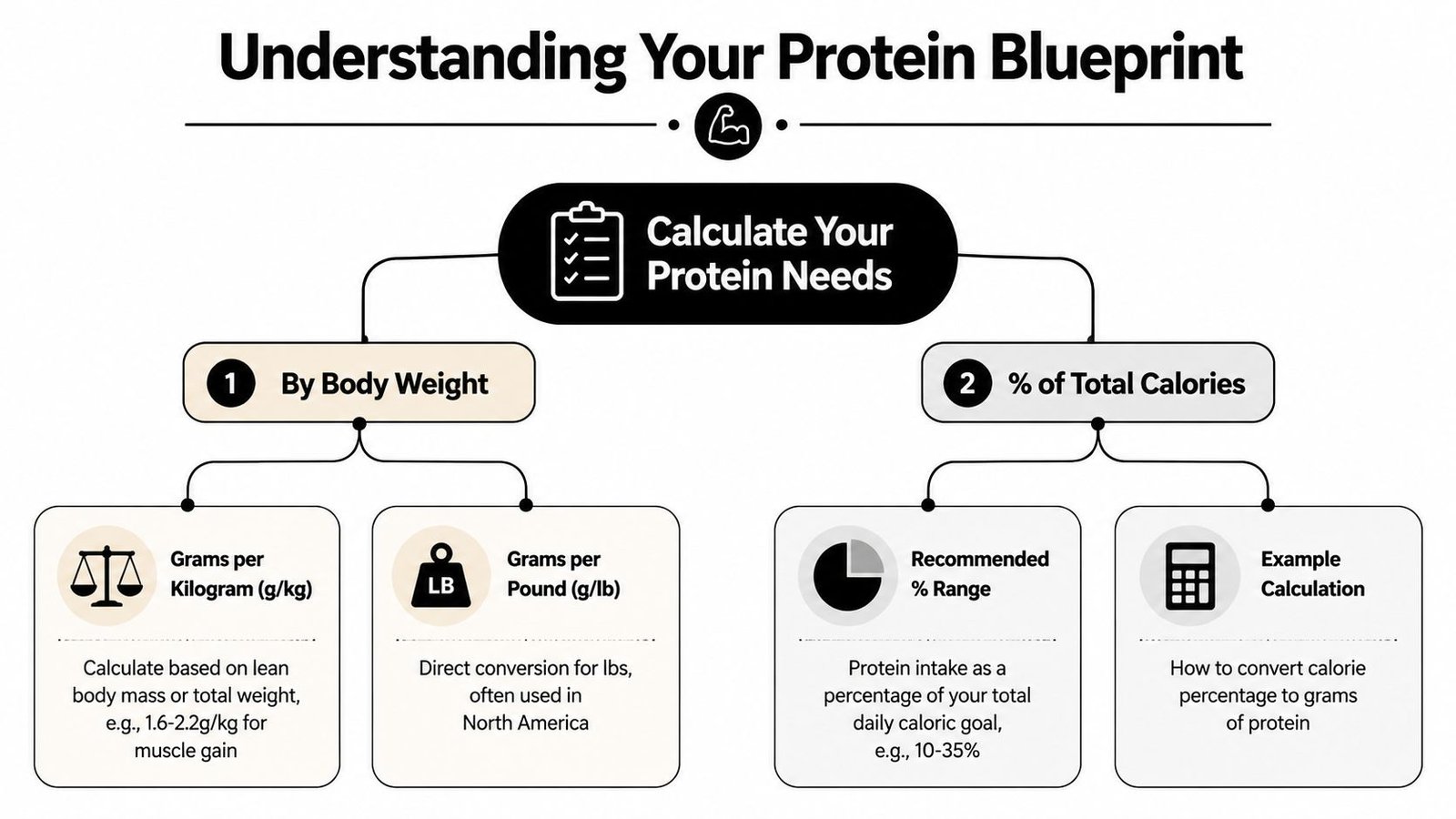 An infographic titled Understanding Your Protein Blueprint illustrating two methods to calculate daily protein intake requirements.