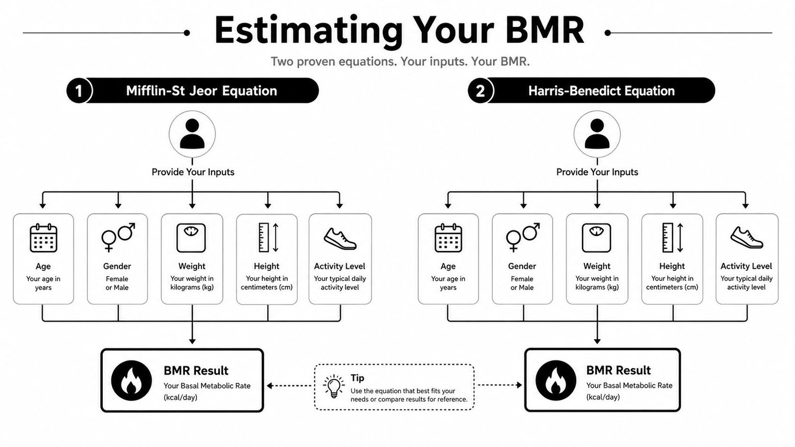 A diagram illustrating how to estimate Basal Metabolic Rate using the Mifflin-St Jeor and Harris-Benedict equations.